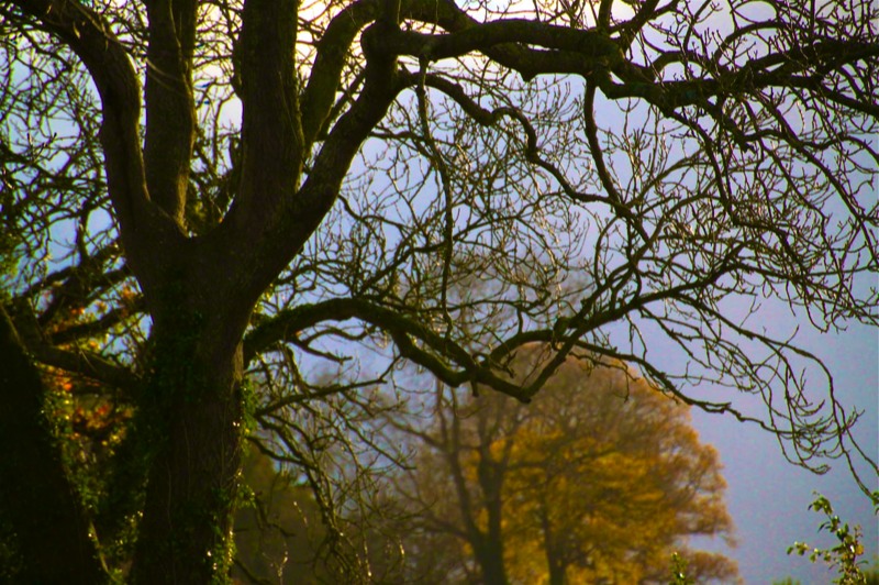Stacks Image 999